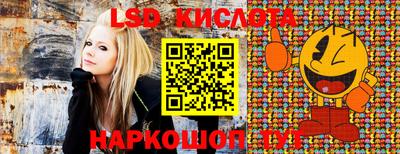 крисы Жуковский
