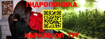 сатива Заволжье