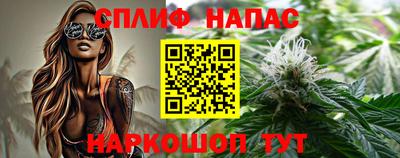 сатива Заводоуковск