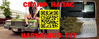 сатива Заводоуковск