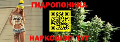 крисы Жуковский