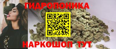 крисы Жуковский