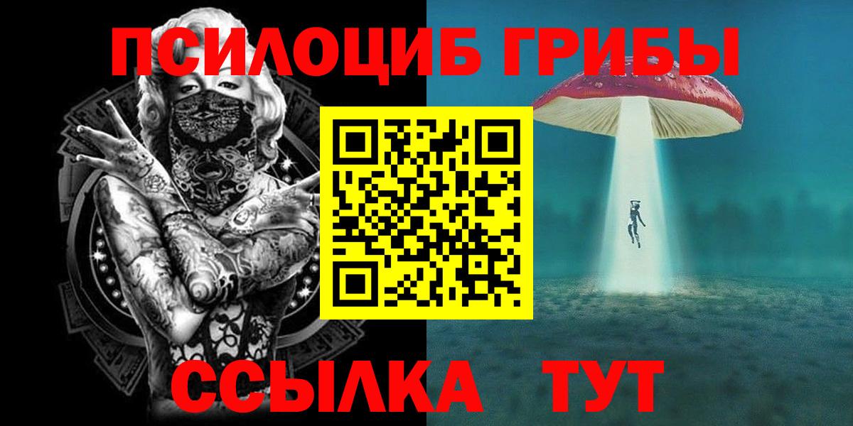 Псилоцибиновые грибы MAGIC MUSHROOMS Вятские Поляны